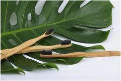2023 Best Bamboo Toothbrush with charcoal bristles