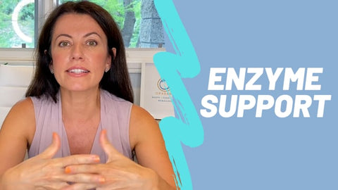 Enzyme Support
